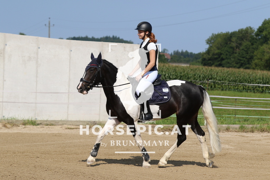 7V2A2740 | Willkommen bei Brunnmayr - Design & Fotografie – Ihrem Spezialisten für Reitturniere und Pferdeveranstaltungen in Oberösterreich, Salzburg und Bayern! Seit über 17 Jahren sind wir leidenschaftlich dabei.