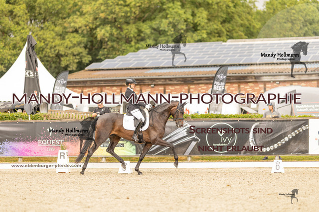SW 4-1114 | mandyhollmannphotographie