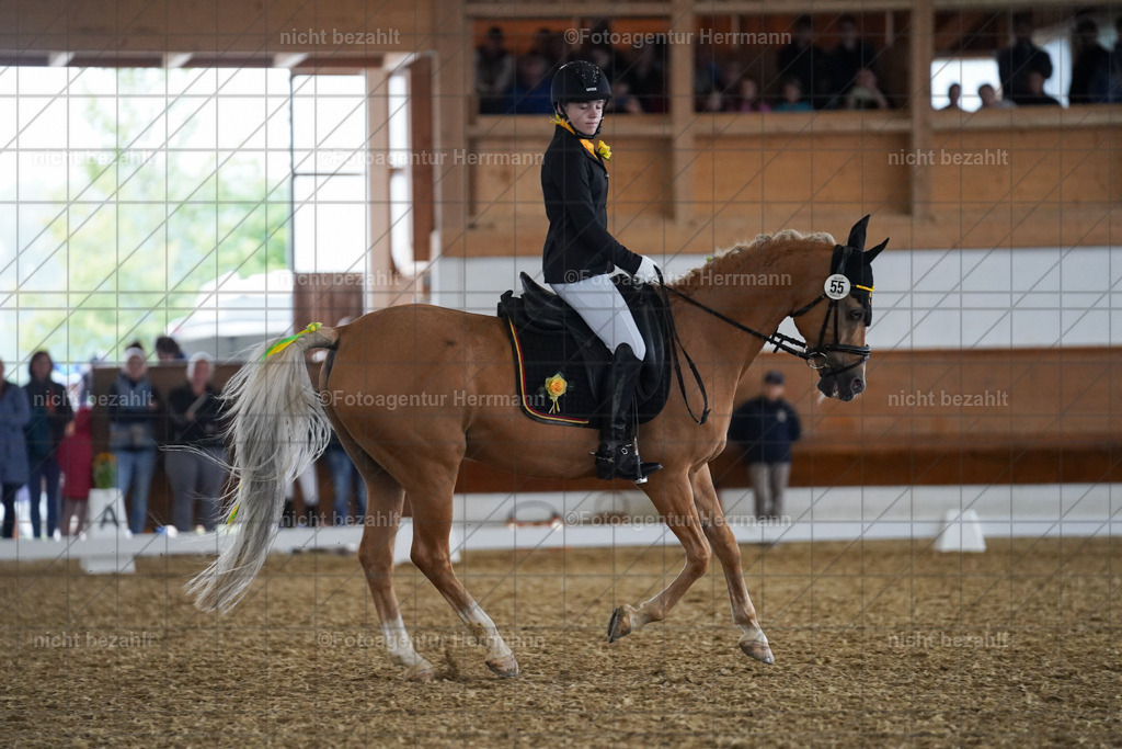 20240825-FAH09625 | Turnierbilder, Reitsportfotos, LAPO, Landesponyturnier, Turnierfotografen Bayern
