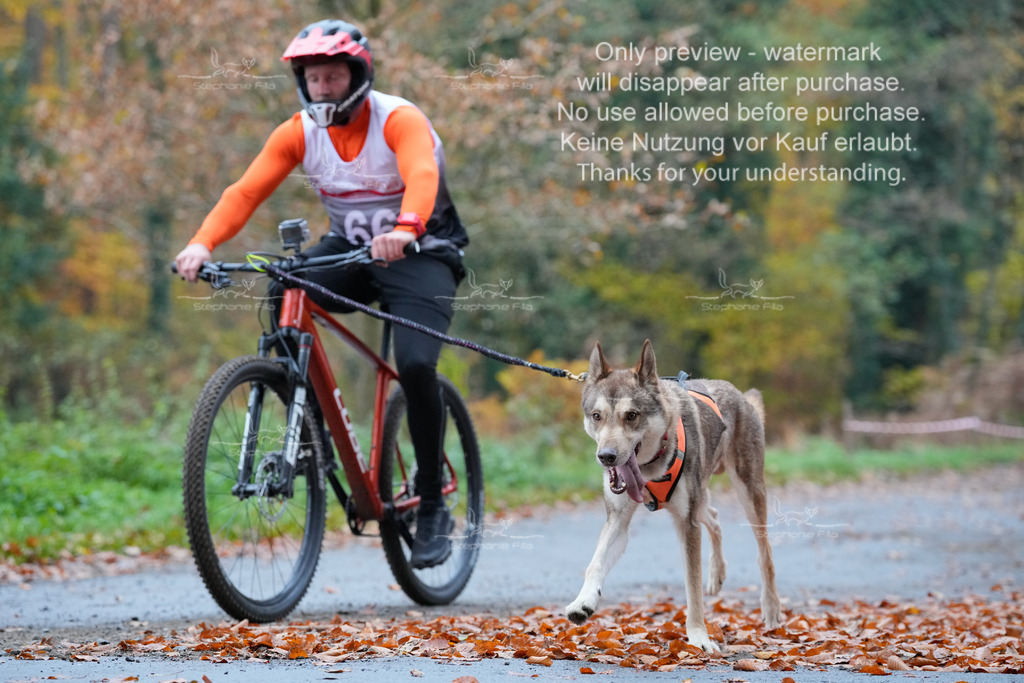 Bike_So-72 | stephaniefillaphotographie - Realisiert mit Pictrs.com