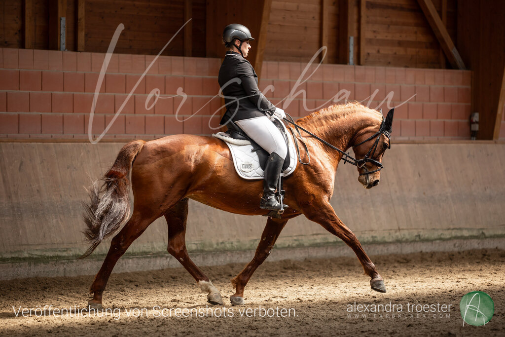 250405_Barop_11_276 | farbklaex.com