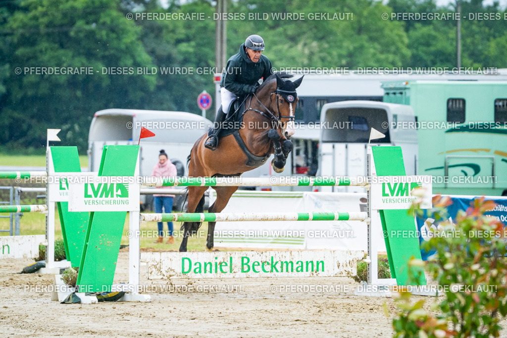 DSC00265 | Pferdegrafie