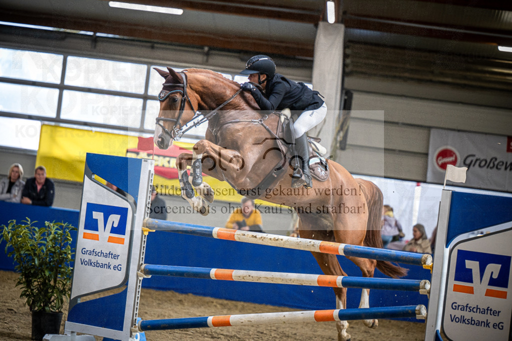 DOS_1341 | Entdecke hochwertige Reitturnierfotos von Foto Oger. Professionell, emotional und authentisch – jetzt Lieblingsmomente im Shop bestellen.Deutschlandweite Turnierfotografie. - Realisiert mit Pictrs.com
