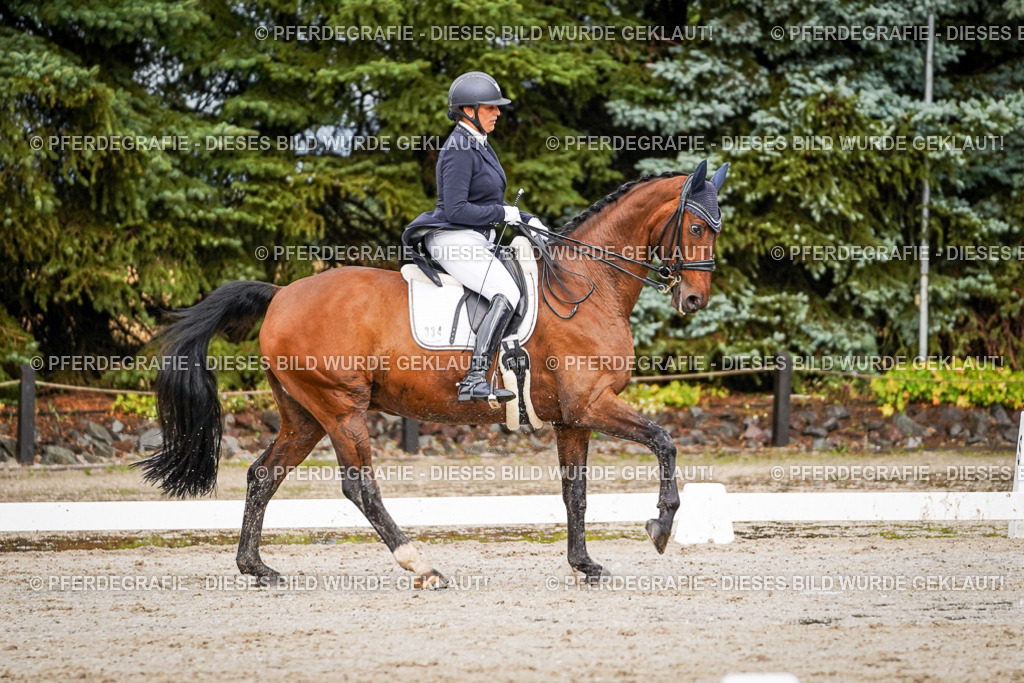 DSC09726 | Pferdegrafie