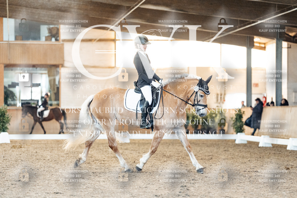CK907056 | Turnierfotografie Pferdefotografie Trier Rheinland-Pfalz Pferdesport Reitsport Tierfotografie Sportfotografie Pferdevideo Pferdevideografie Equestrianvideography equestrianphotography  - Realisiert mit Pictrs.com