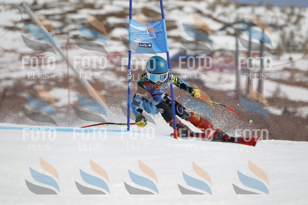 _U3G0406 | holidayphoto