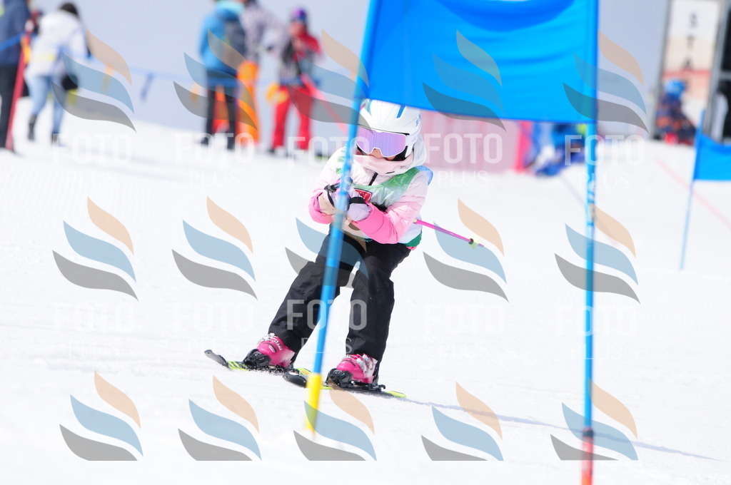 A3623 | holidayphoto