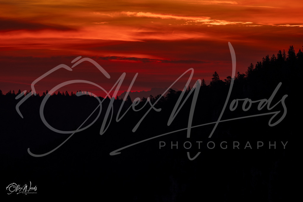 20240922_070844_SA933374_AlexWoods_FullSize | Alex Woods Photography