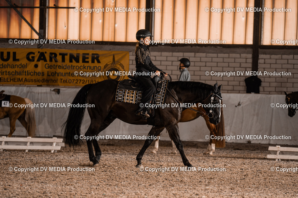 ZH200366 | dv-media-shop - Realisiert mit Pictrs.com