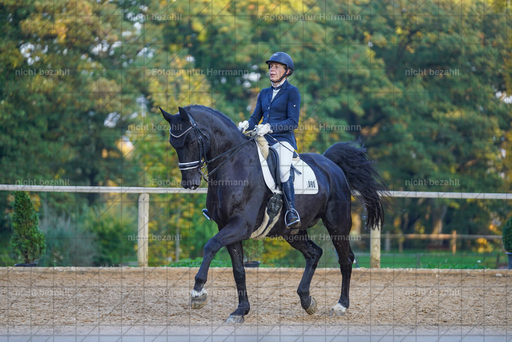 20221007-FAH00553 | Diessen am Ammersee, 2022, Dressur- und Springturnier, Reitsportbilder, Turnierfotografen Bayern, Pferdefotografen, Fotoagentur Herrmann, Turnierbilder
