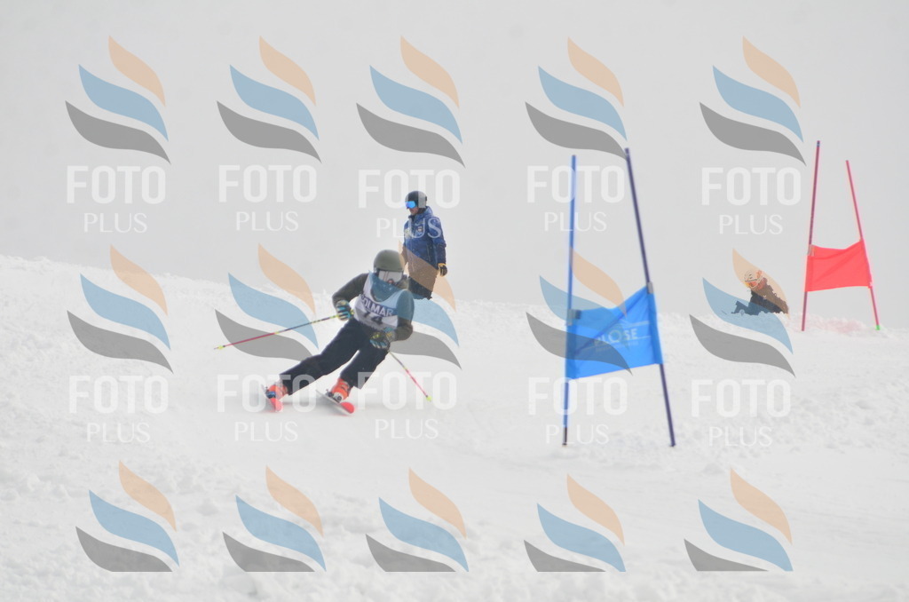 A5611 | holidayphoto