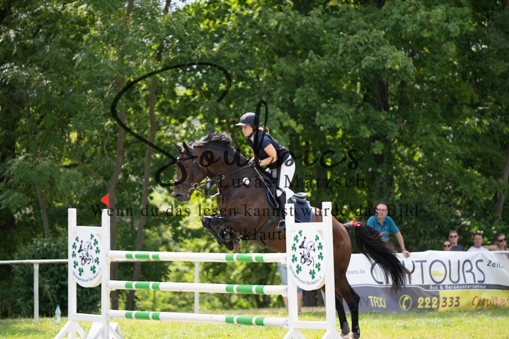 A7V07418 | Pferdefotograf