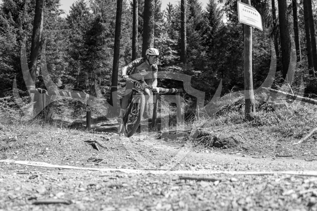 L1010720 | Fotogalerie der Treibjagd im Dunkelwald - Dein MTB Etappenrennen im Erzgebirge - Realisiert mit Pictrs.com