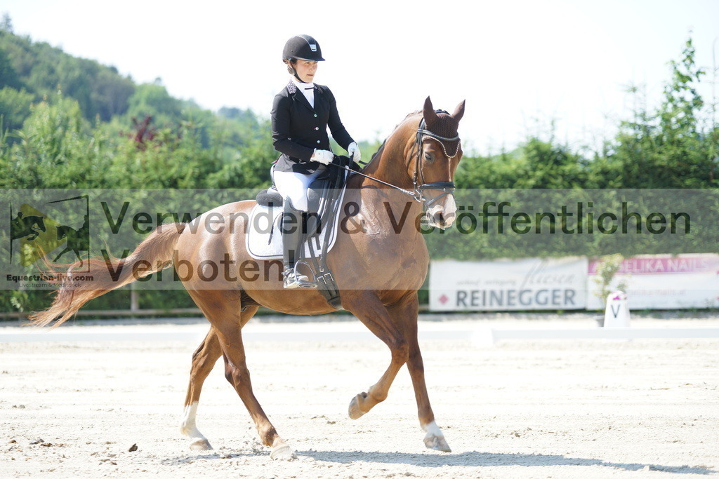 DSC02290 | equestrian-live-com