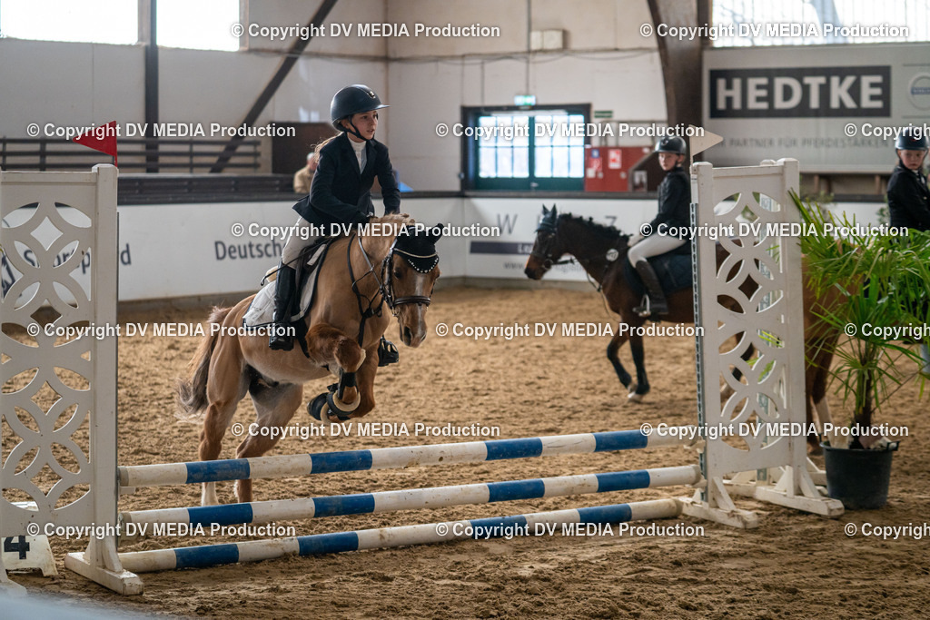 Kranichstein Tag 2-654 | dv-media-shop - Realisiert mit Pictrs.com