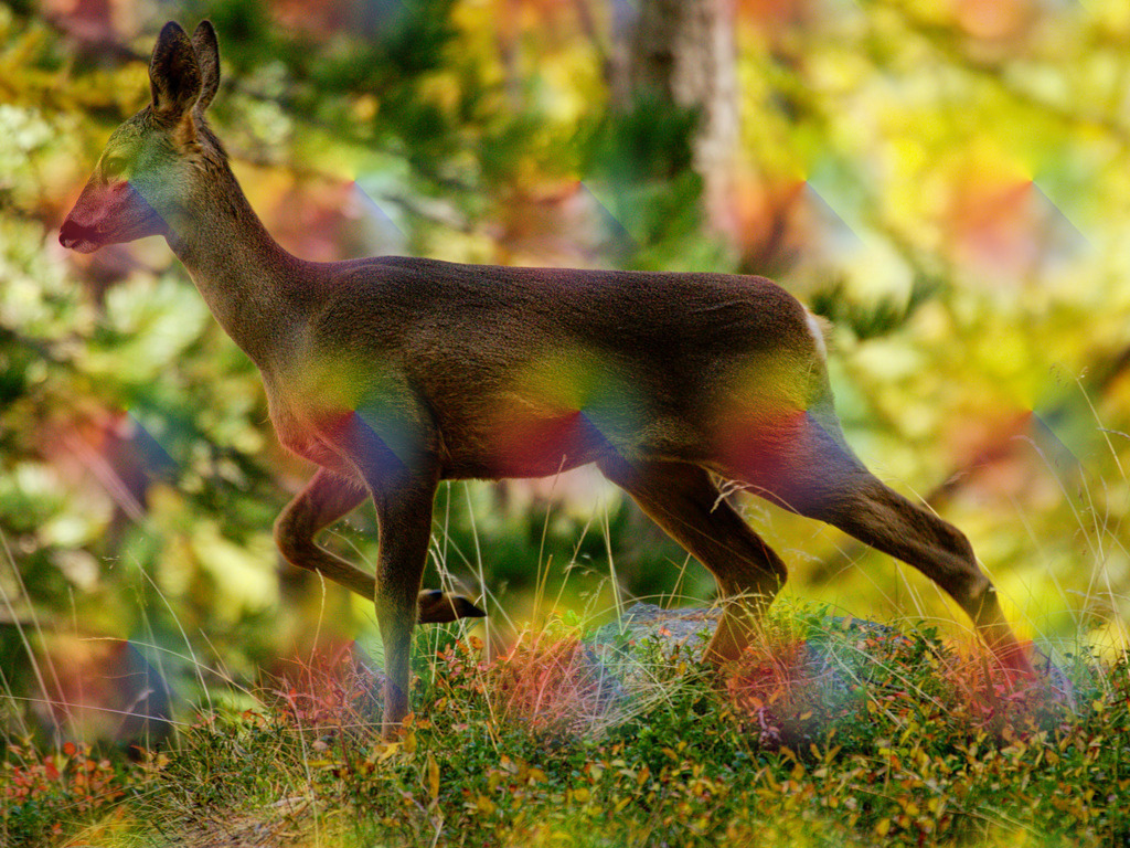 7J9A7489_inPixio | FineArtPrint, Hahnemühle, FeeGalerie, Fee Galerie, Fotokunst, Fotografie, Canonphotography, Bergfoto, Matterhorn, Rimpfischhorn, Allalinhorn, Saas-Fee, Wallis, Valais, Switzerland, Bergfotografie