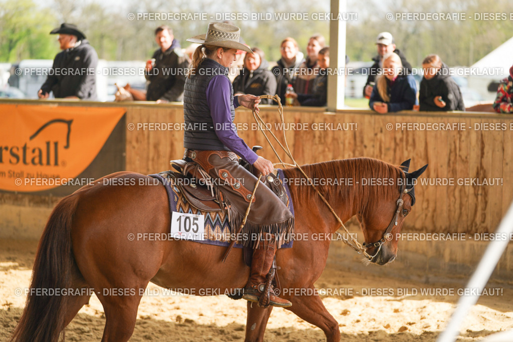 DSC01287 | Pferdegrafie