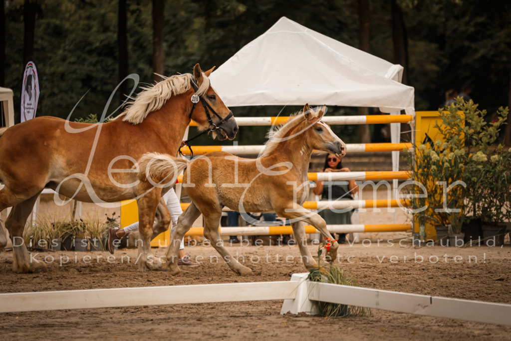 SaHF00052 | Leoni Ertmer Photography - Realisiert mit Pictrs.com