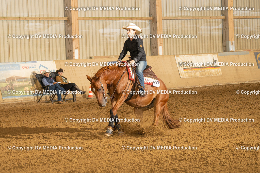 LAU00356 | dv-media-shop - Realisiert mit Pictrs.com