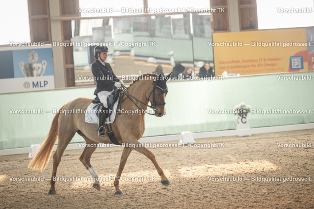 _D5A3963 | Emotionale Pferde- & People-Fotografie rund um Heidelberg, Leimen & Umgebung. Natürliche Fotos von Pferd, Mensch & Familie. Jetzt Termin sichern!