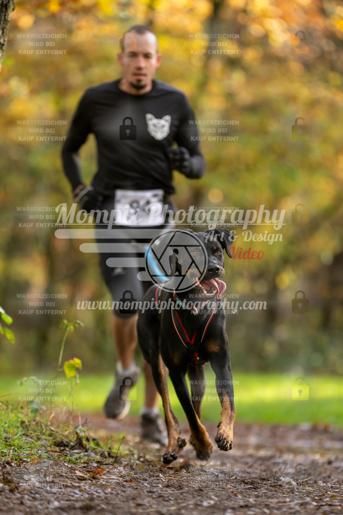 MompixPhotography_Bischwiller23_Canicross-33 | PayLife