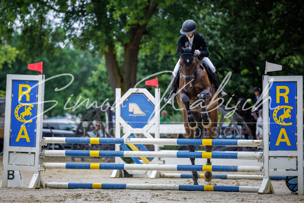 20260705-_3LI3574 | Tierfotografie Pferde, Hunde, Katzen, Haustiere.
Turnierfotografie Reitturniere, Reiten, Springreiten, Dressur in Hanau, dem Main-Kinzig-Kreis und dem Rhein-Main- Gebiet um Frankfurt