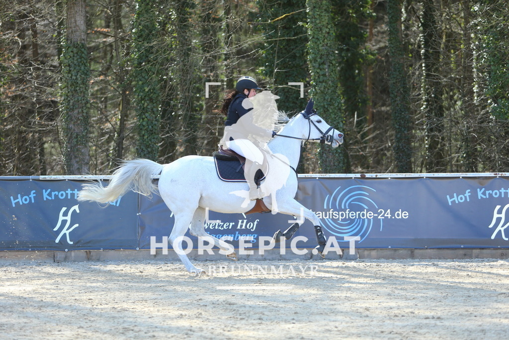 DL2Q2947 | Willkommen bei Brunnmayr - Design & Fotografie – Ihrem Spezialisten für Reitturniere und Pferdeveranstaltungen in Oberösterreich, Salzburg und Bayern! Seit über 17 Jahren sind wir leidenschaftlich dabei.