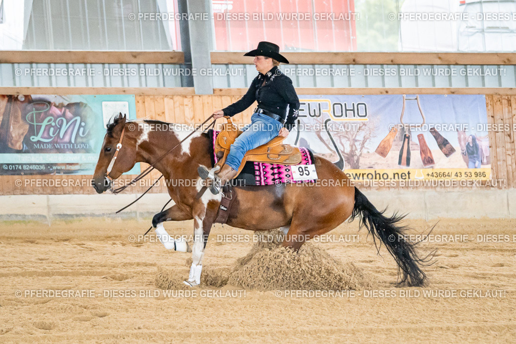 DSC06400 | Pferdegrafie