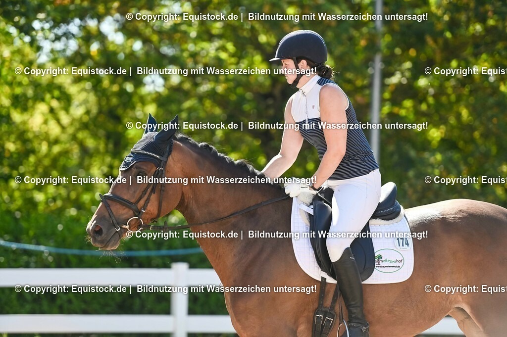 20230715_06_Dressurpferdeprfg. Kl.A_0410 | equistock