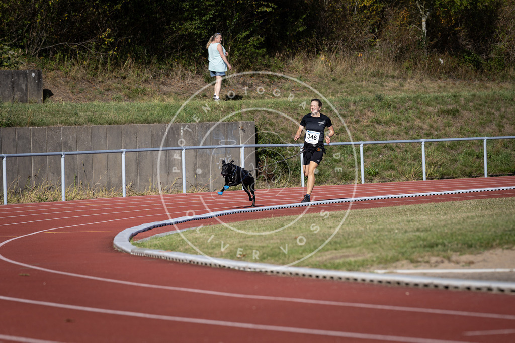 Pfotenfotografie_DV3A8992 | Hundefotografie, Tierfotograf, Pfotenfotografie, Fotoshooting Hund, Hunde Portrait, Hundesport, Hundeportraits, Heideshooting, Hunde, Sportfotograf, Hundefotograf, Turnierhundsport, THS,  - Realisiert mit Pictrs.com