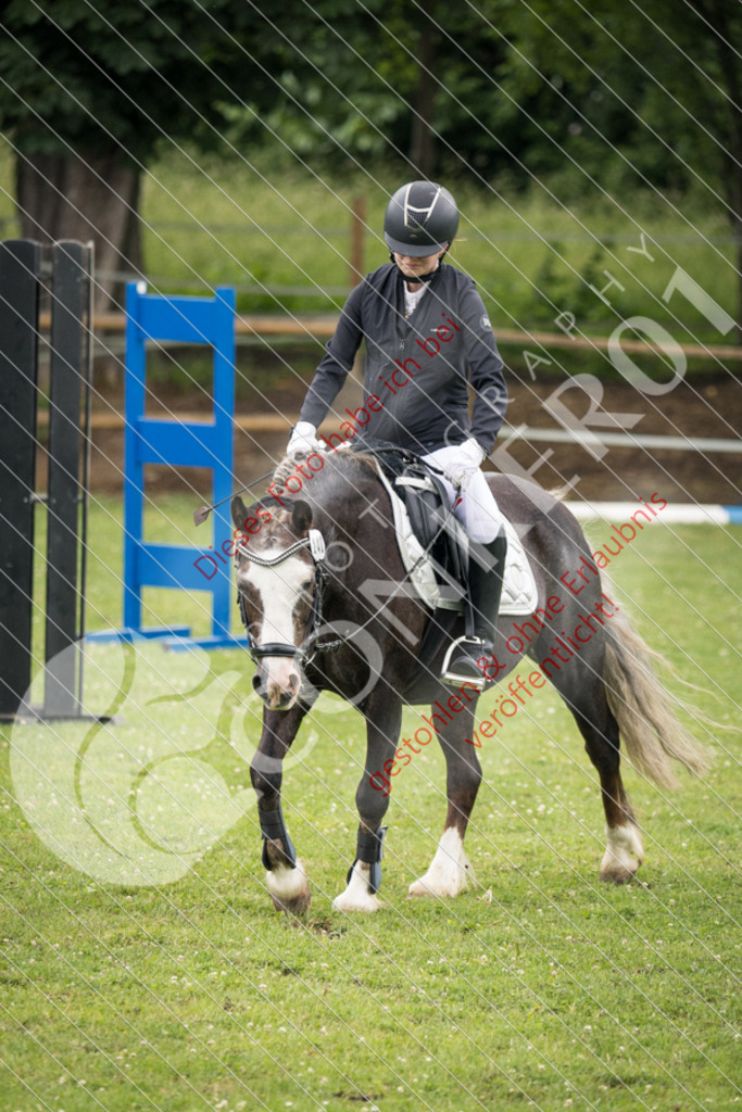 IMG_2753 | Sport-, Event- und Tierfotos in Profiqualität. Einfach auswählen, bestellen und herunterladen. Dein Moment – perfekt festgehalten.