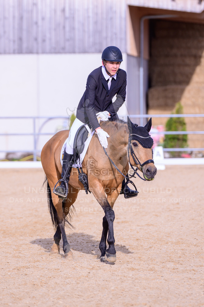 09042026-Mammendorf-Prfg08-0855 | Fokus Hufschlag Fotografie - Realisiert mit Pictrs.com