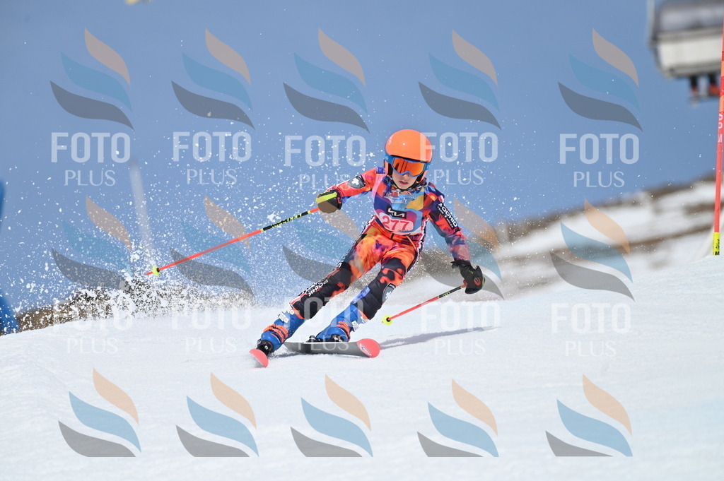 BGV_2361 | holidayphoto