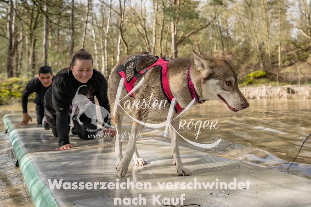 1004_ZZ92457 | kk-dogfotos