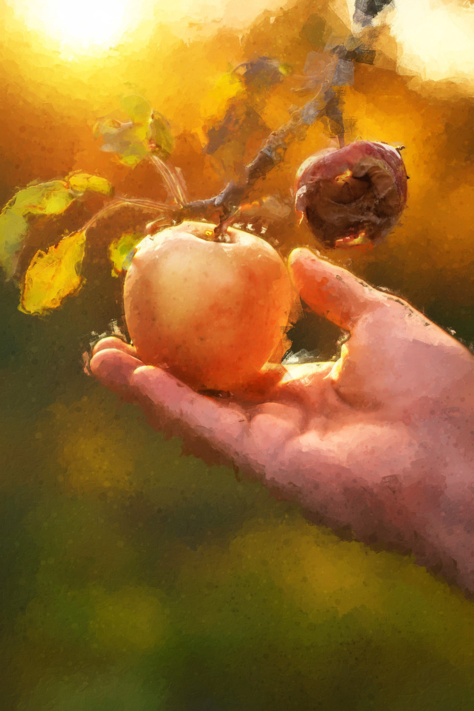 Jahreslosung 2025 Motiv Frucht | Variante ohne Text