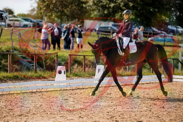 2026_10_03_Siefer-Hof_133642_Z63_97643964 | Professionelle Reitsport-, Turnier- und Eventfotografie von Robert Broda. Galerien mit ausgewählten und bearbeiteten Bildern direkt online ansehen und bestellen.