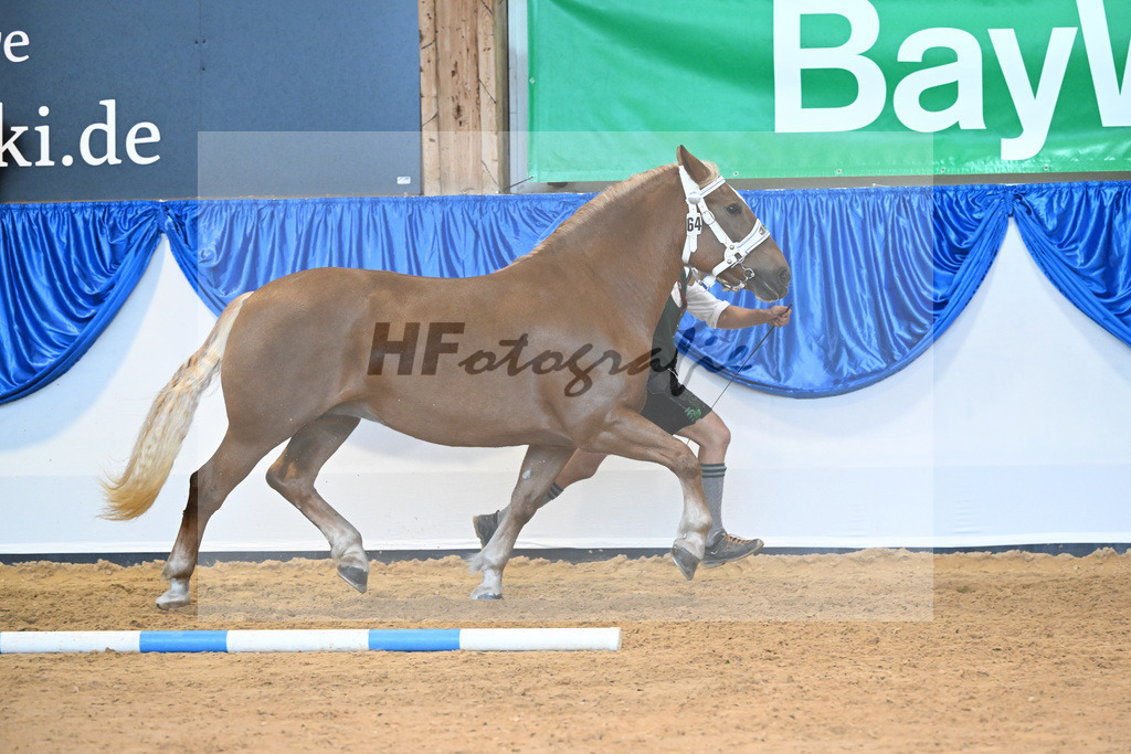 Kat-Nr. 64 Heleni_Hoeck_53220208 | hf-fotografie - Realisiert mit Pictrs.com