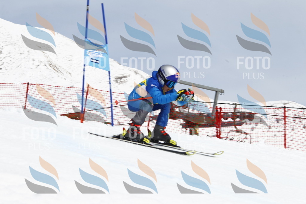 _U3G7757 | holidayphoto