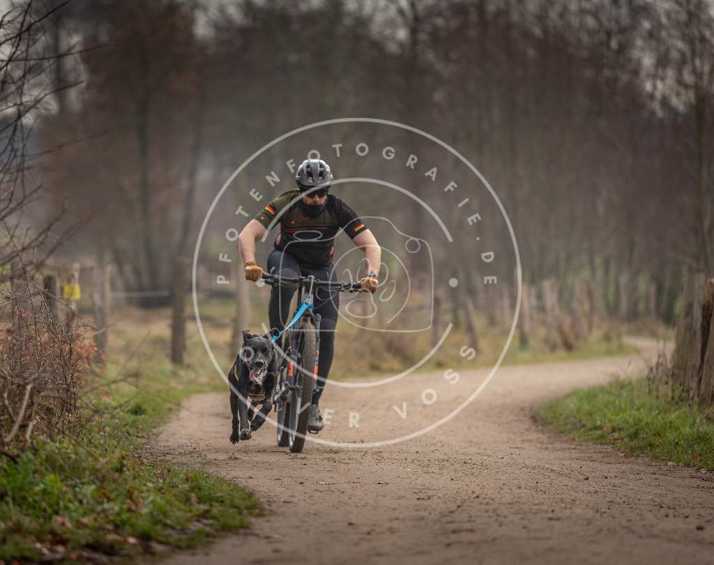 Pfotenfotografie_DV3A1683 | Hundefotografie, Tierfotograf, Pfotenfotografie, Fotoshooting Hund, Hunde Portrait, Hundesport, Hundeportraits, Heideshooting, Hunde, Sportfotograf, Hundefotograf, Turnierhundsport, THS,  - Realisiert mit Pictrs.com