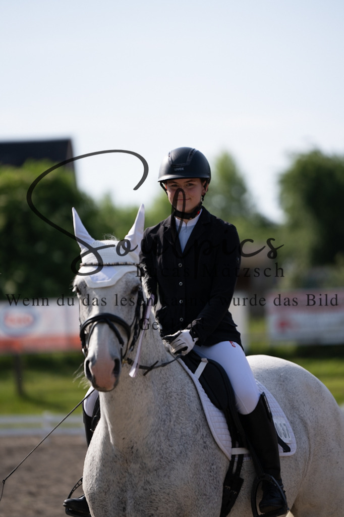 A7V02420 | Pferdefotograf