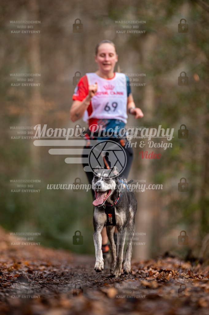 SPA_2023_DIM_CCL-169 | PayLife