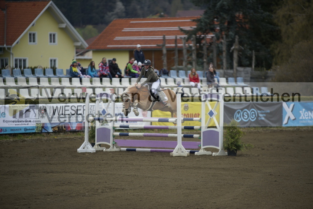 _DSC7057 | equestrian-live-com
