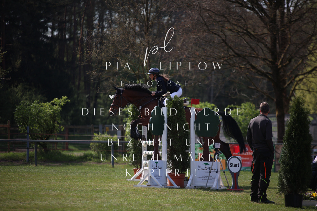 IMGT5846 | pl-fotografie