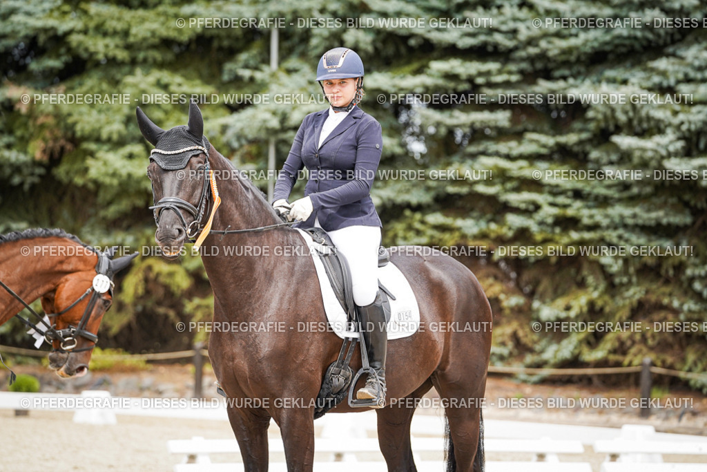 DSC04557 | Pferdegrafie