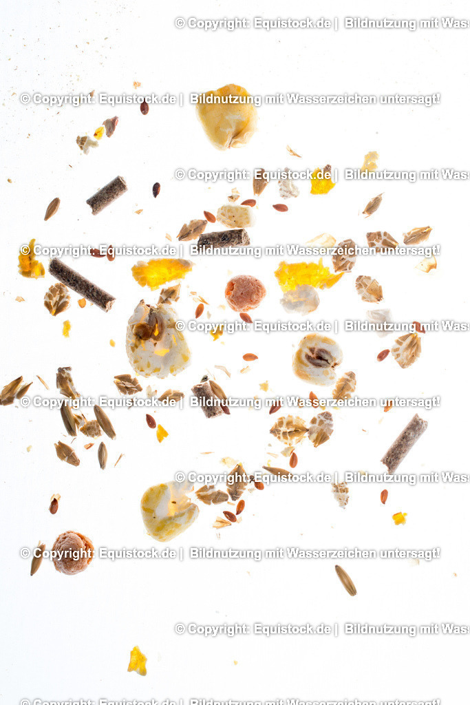 TS_20170202_M__sli_0002 | Foto: Thomas Hartig