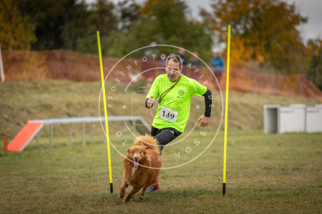 Pfotenfotografie_DV3A6344 | Hundefotografie, Tierfotograf, Pfotenfotografie, Fotoshooting Hund, Hunde Portrait, Hundesport, Hundeportraits, Heideshooting, Hunde, Sportfotograf, Hundefotograf, Turnierhundsport, THS,  - Realisiert mit Pictrs.com