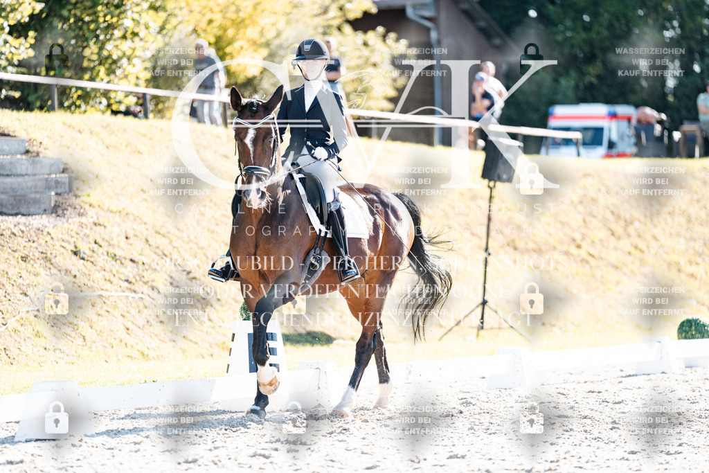 CK906523 | Turnierfotografie Pferdefotografie Trier Rheinland-Pfalz Pferdesport Reitsport Tierfotografie Sportfotografie Pferdevideo Pferdevideografie Equestrianvideography equestrianphotography  - Realisiert mit Pictrs.com