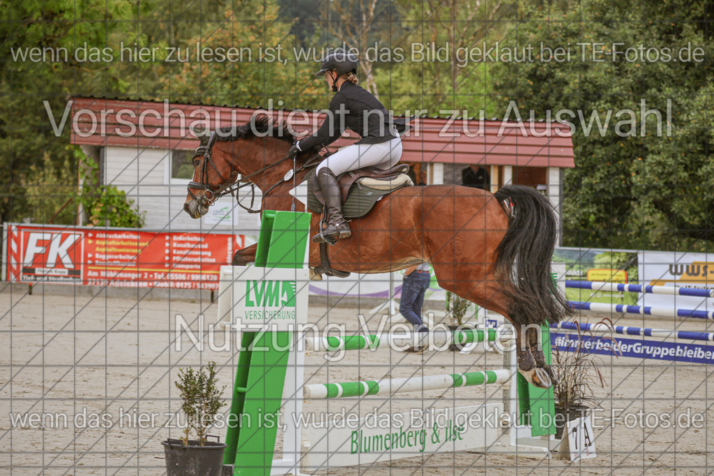 2025-09-22_09-34-37_MG_3641 | TE-Fotos