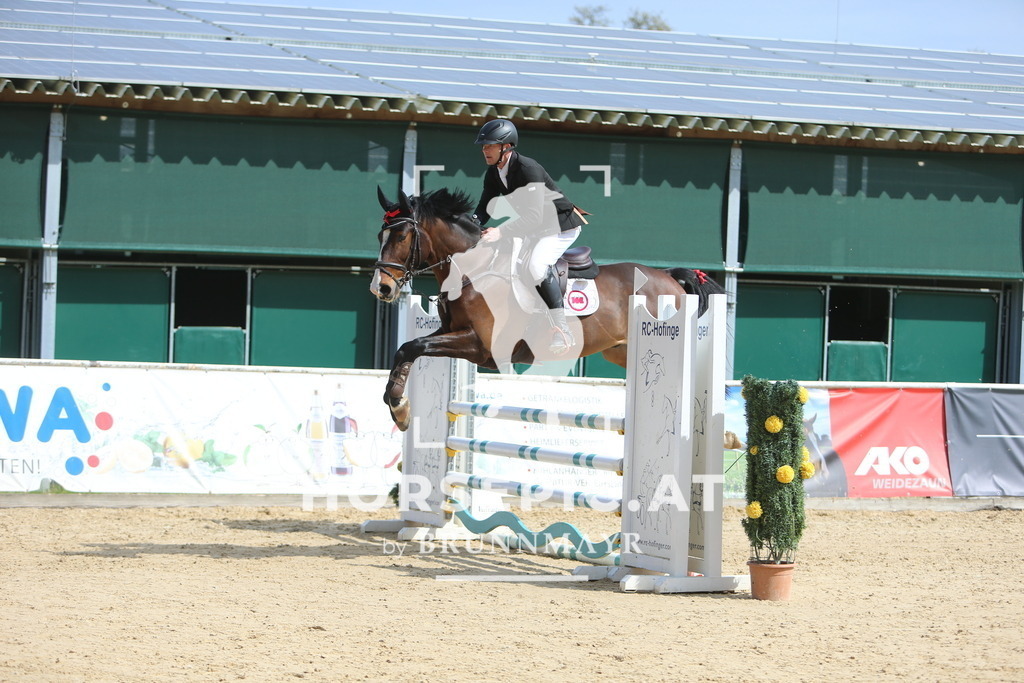 DL2Q9155 | Willkommen bei Brunnmayr - Design & Fotografie – Ihrem Spezialisten für Reitturniere und Pferdeveranstaltungen in Oberösterreich, Salzburg und Bayern! Seit über 17 Jahren sind wir leidenschaftlich dabei.