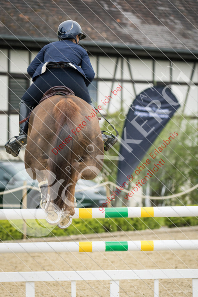 IMG_4828 | Hier findest Du viele Augenblicke aus den Bereichen der Turnier-, Sport- & Tierfotografie. Bilder mit deinem Liebling, Portrait-, Bewerbungs-, Businessbilder können ebenfalls schnell und einfach erstellt werden.